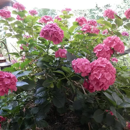 Nessler Διαμέρισμα